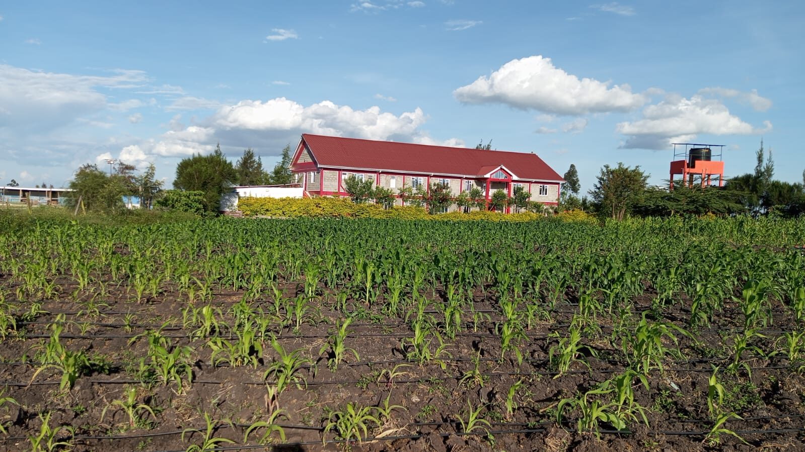 The Orione centre overlooking its irrigated farm in Kajiado East